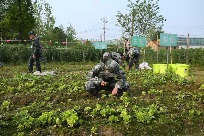 全国封闭学校,问题孩子培训学校